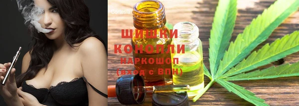 крисы Армянск