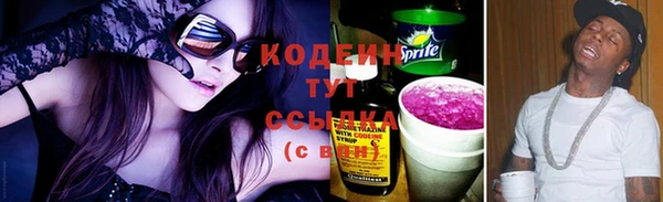 крисы Армянск