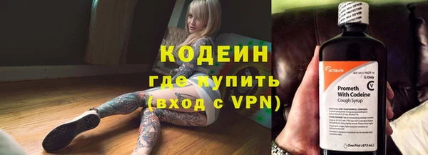сатива Аркадак