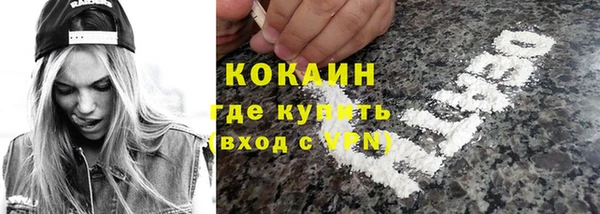 сатива Аркадак