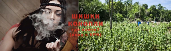 apvp Арсеньев