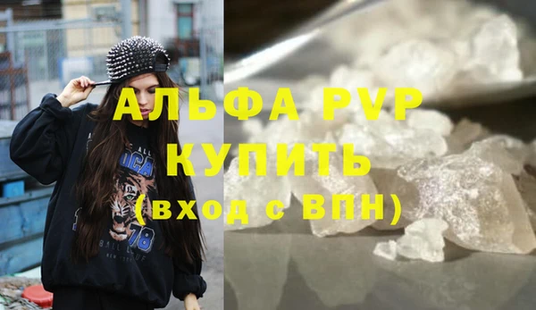 сатива Аркадак